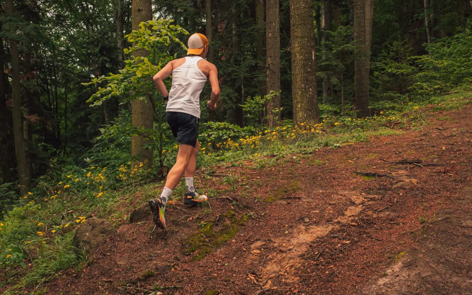 Wildfire Smoke and Triathlon Training: An AQI Decision Guide for Swim, Bike, and Run